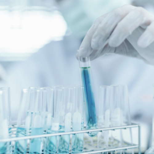 Screenshot 2026-03-13 at 13.57.57